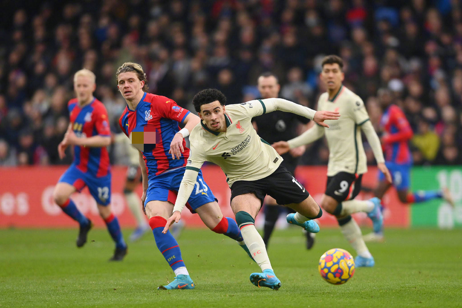 他是否适合 他是否适合